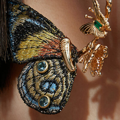Butterfly Land - Image 5